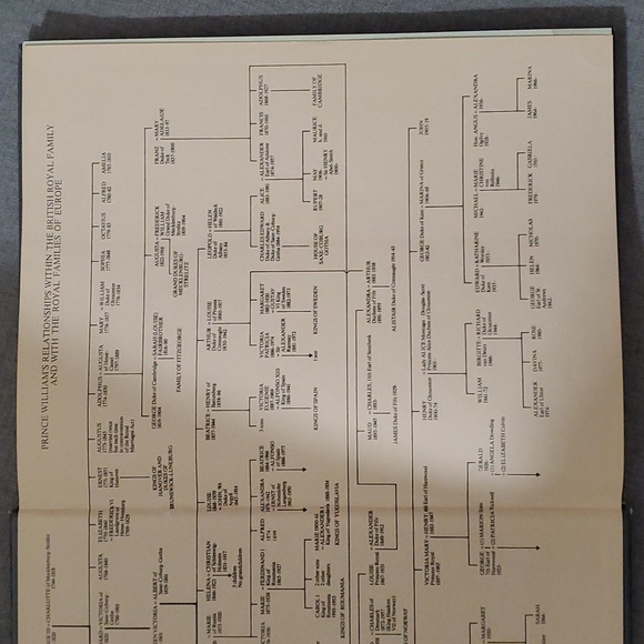 Born to be King book Prince William of Wales about 127 pages - Picture 9 of 17